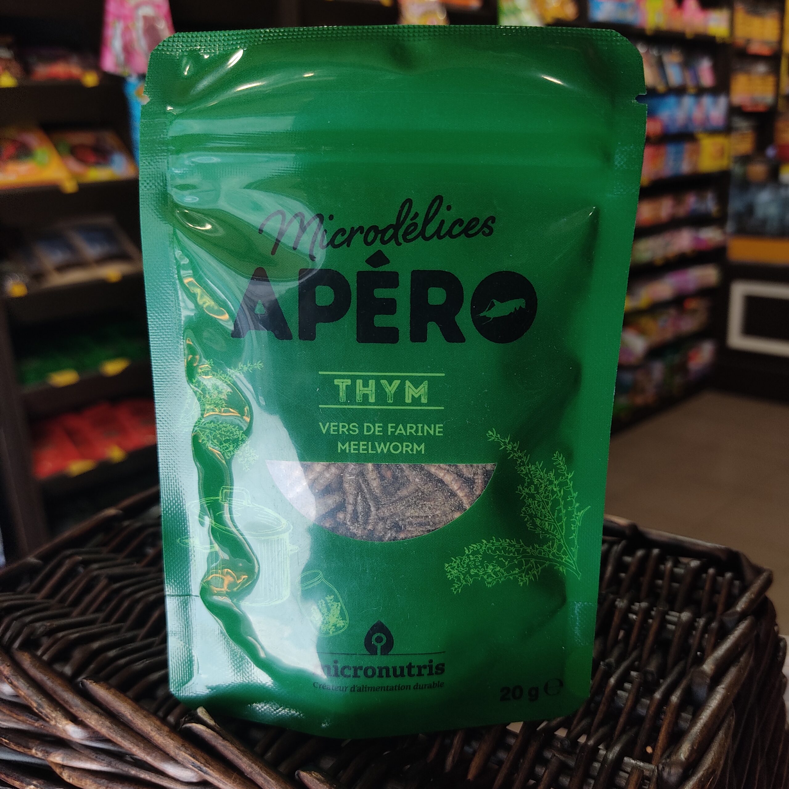 Insectes | Ténébrions "Vers de farine" Thym