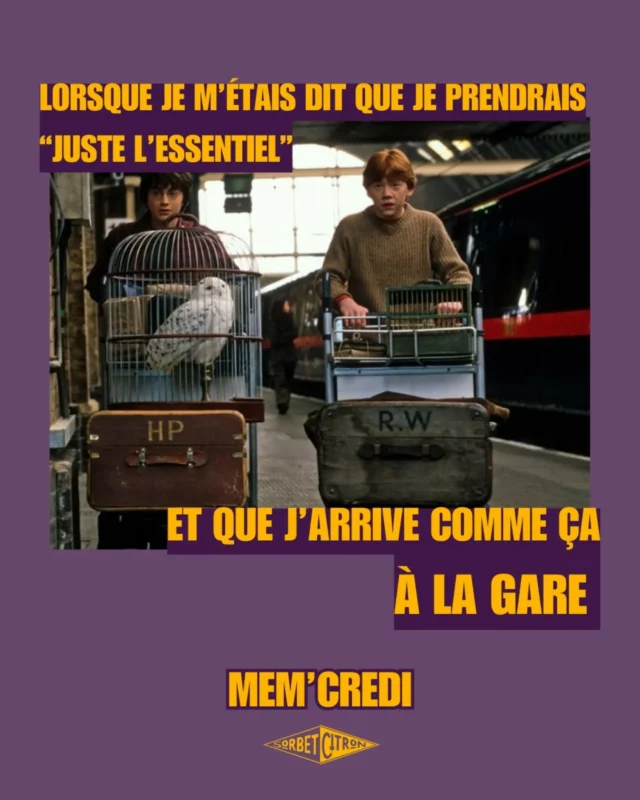 Après avoir essayé de passer dans le mur pour la troisième fois, je commence sérieusement à me faire repérer en général 😇